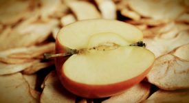 jak przechowywać suszone jabłka